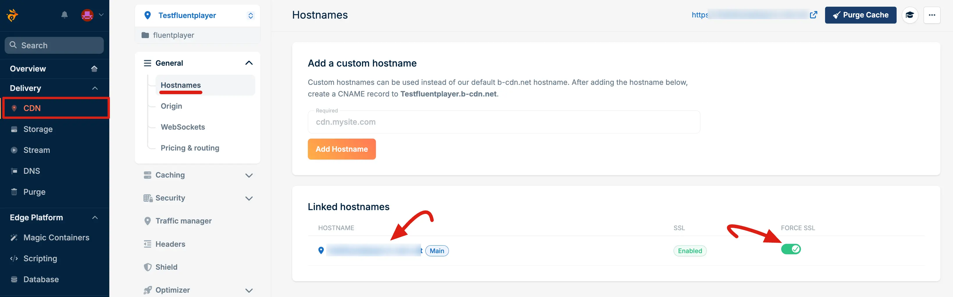 Hostname